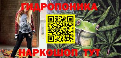 PSILOCYBIN Обнинск