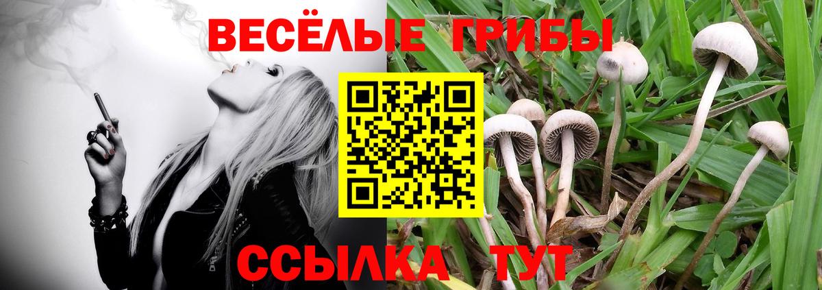 Галлюциногенные грибы MAGIC MUSHROOMS Солнечногорск