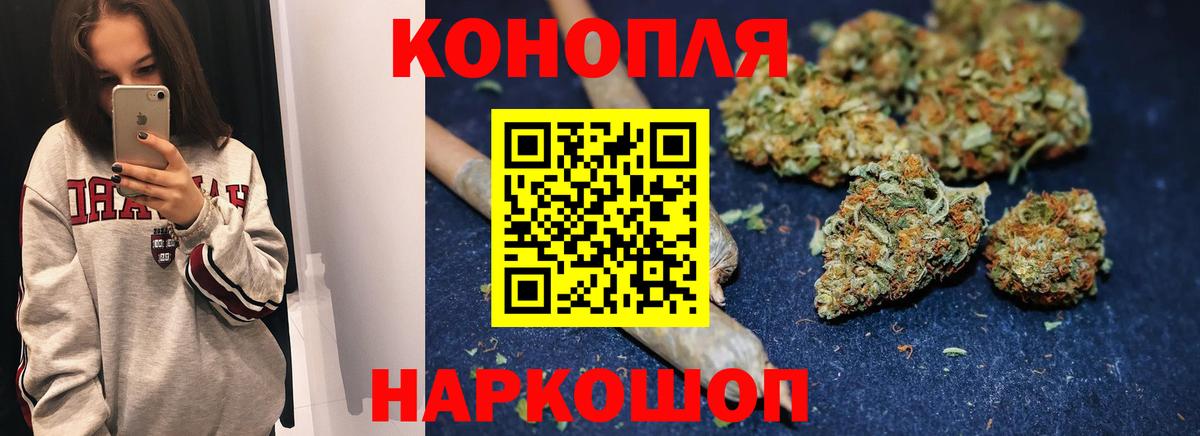 Бошки марихуана конопля Солнечногорск